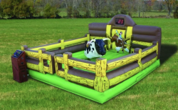 Mechanical Bull